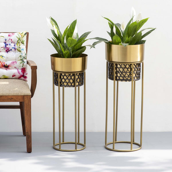 Midas Touch Gold Handwork Cane planter (set of 2)