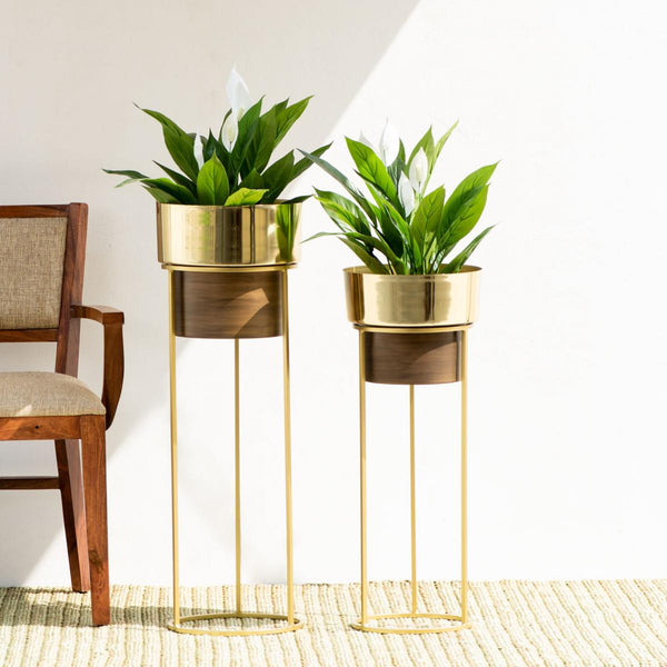 Isabella Planter Set of 2