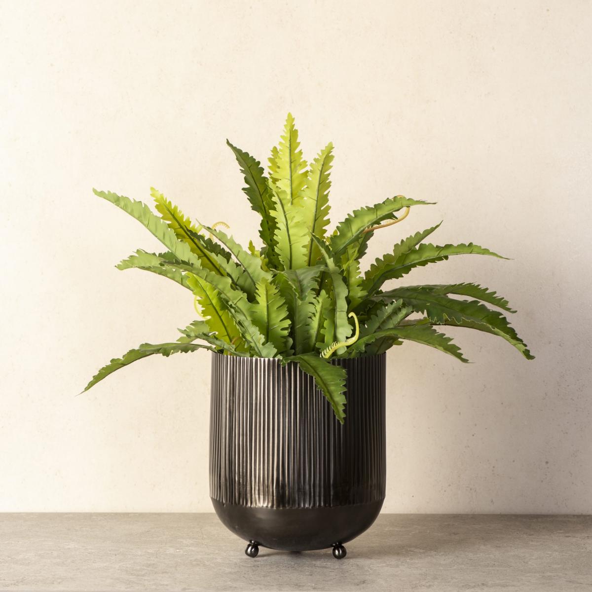 Ripple Cut Brass Dustbin/Planter - Cosmos Black