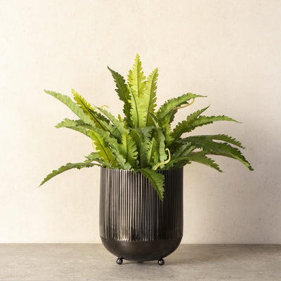 Ripple Cut Brass Dustbin/Planter - Cosmos Black