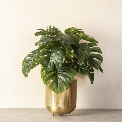 Ripple Cut Brass Dustbin/Planter - Matte Gold