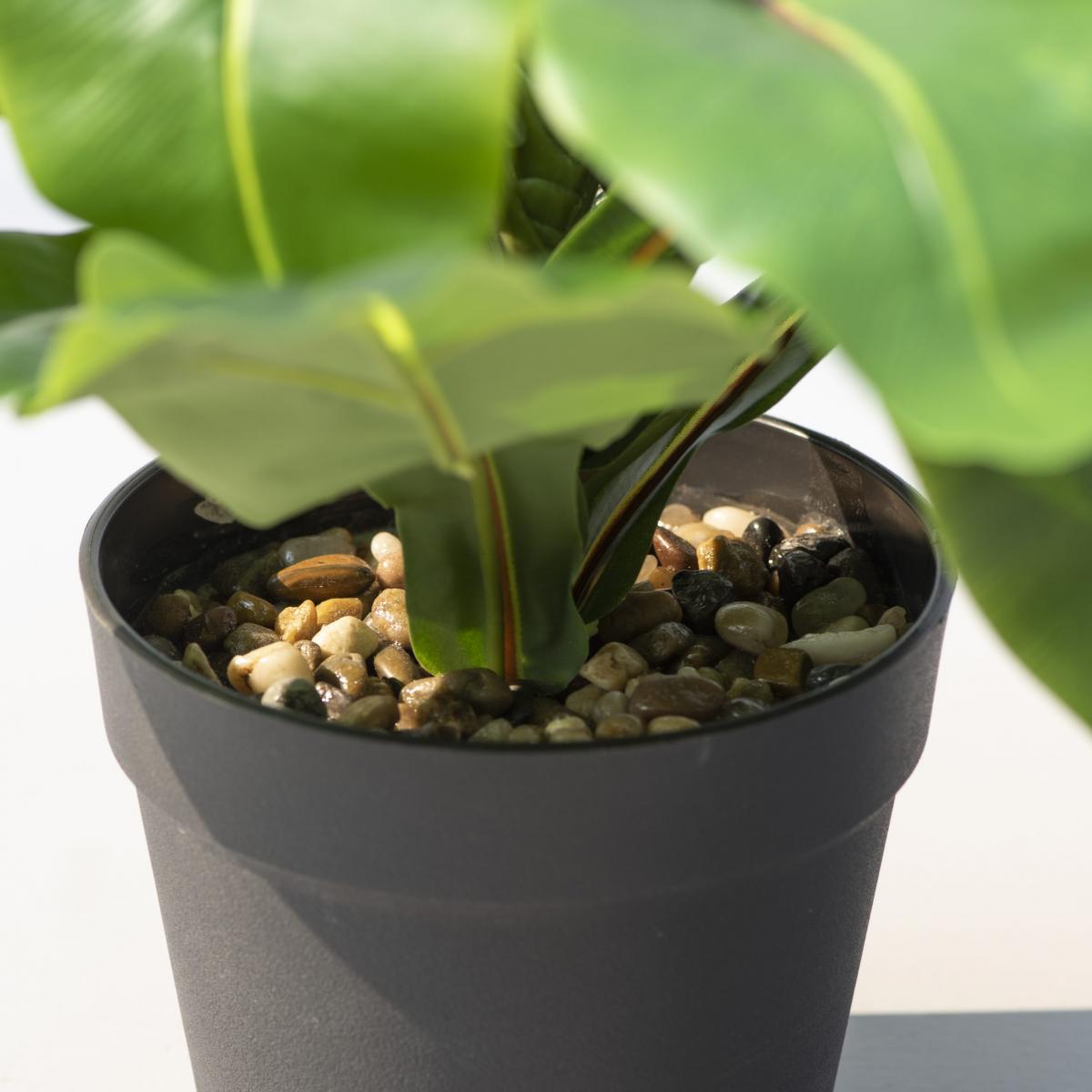 Wide Leaf Birds Nest Fern Artificial Plant