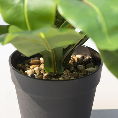 Wide Leaf Birds Nest Fern Artificial Plant