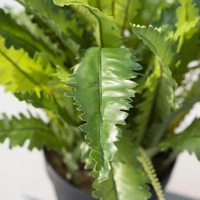 Crinkle Fern Artificial Plant