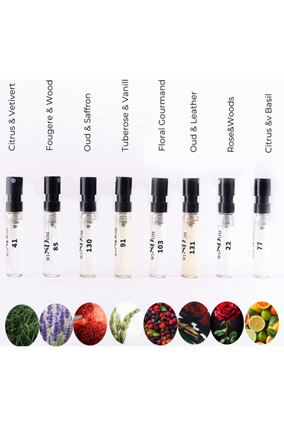 Discovery Set of 10