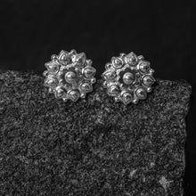 Chandak Silver Studs Earrings
