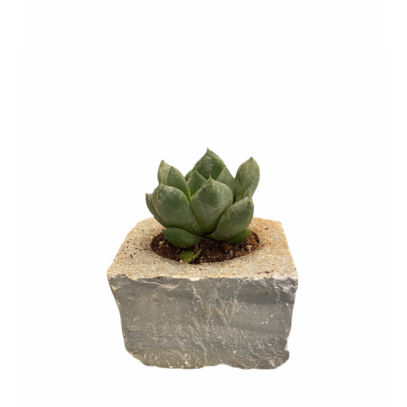 Limestone Planter - Grey