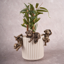 Monkey Business - Set of 3 (Gold)