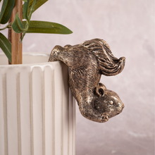 Squirrel Squad - Set of 3 (Gold)