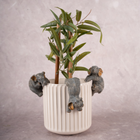 The Gentle Giants - Set of 3 (Grey Brown)