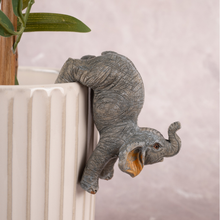 The Gentle Giants - Set of 3 (Grey Brown)