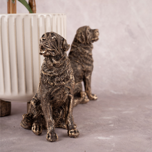 The Gentle Labs - Set of 3 (Gold)