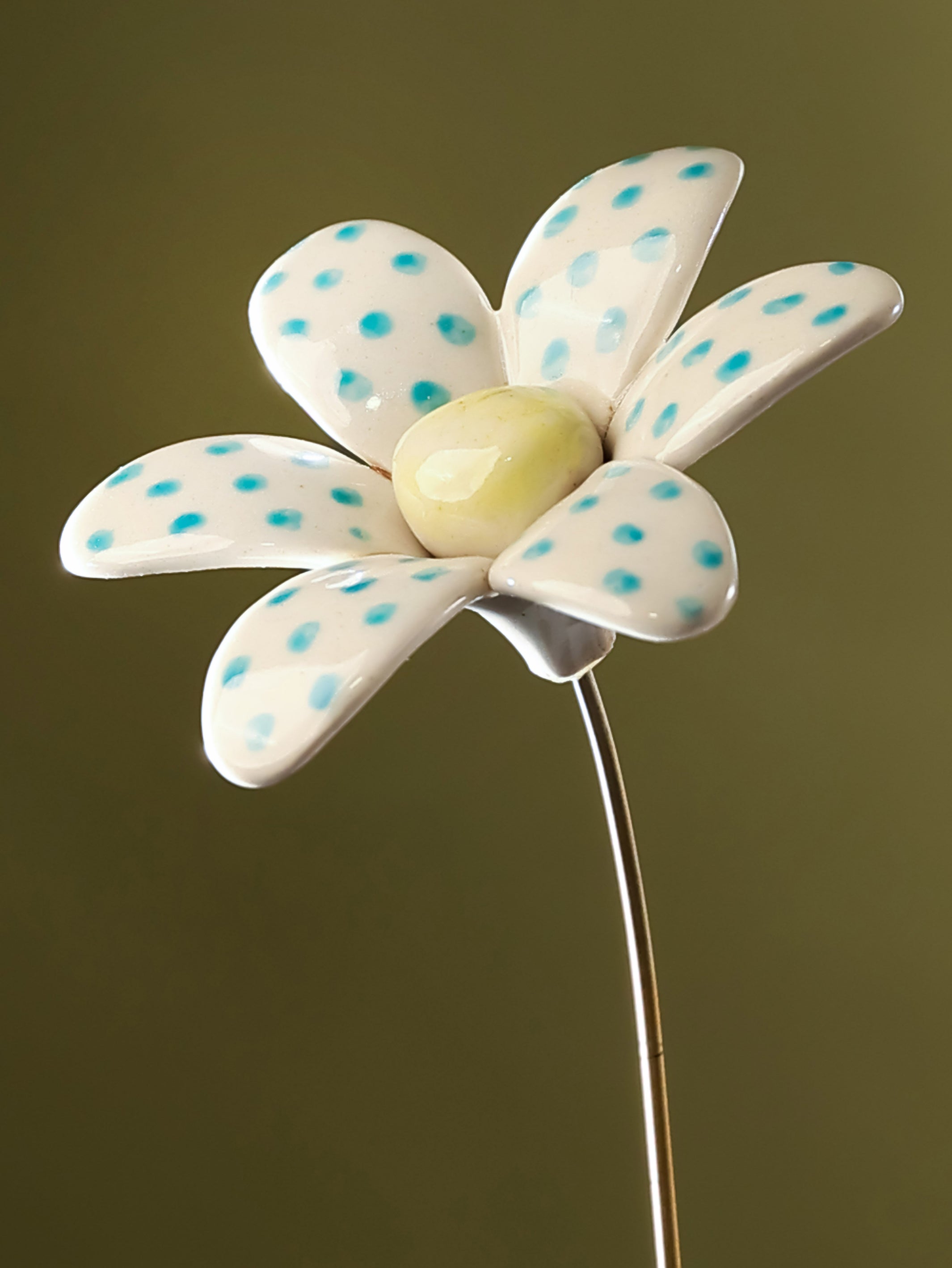 Mod Polka Daisy- Single Stem