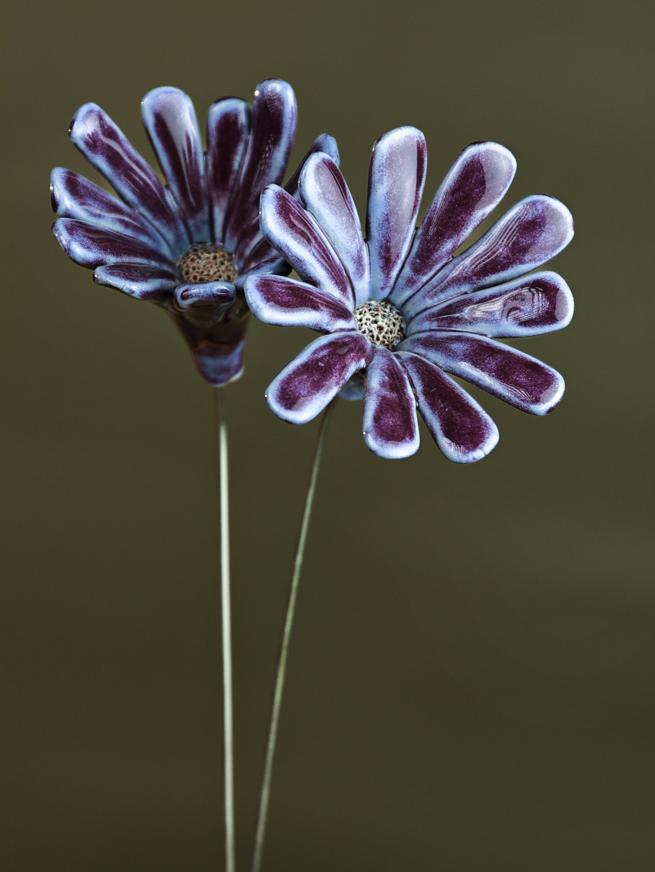 Splash Single Flower Stem