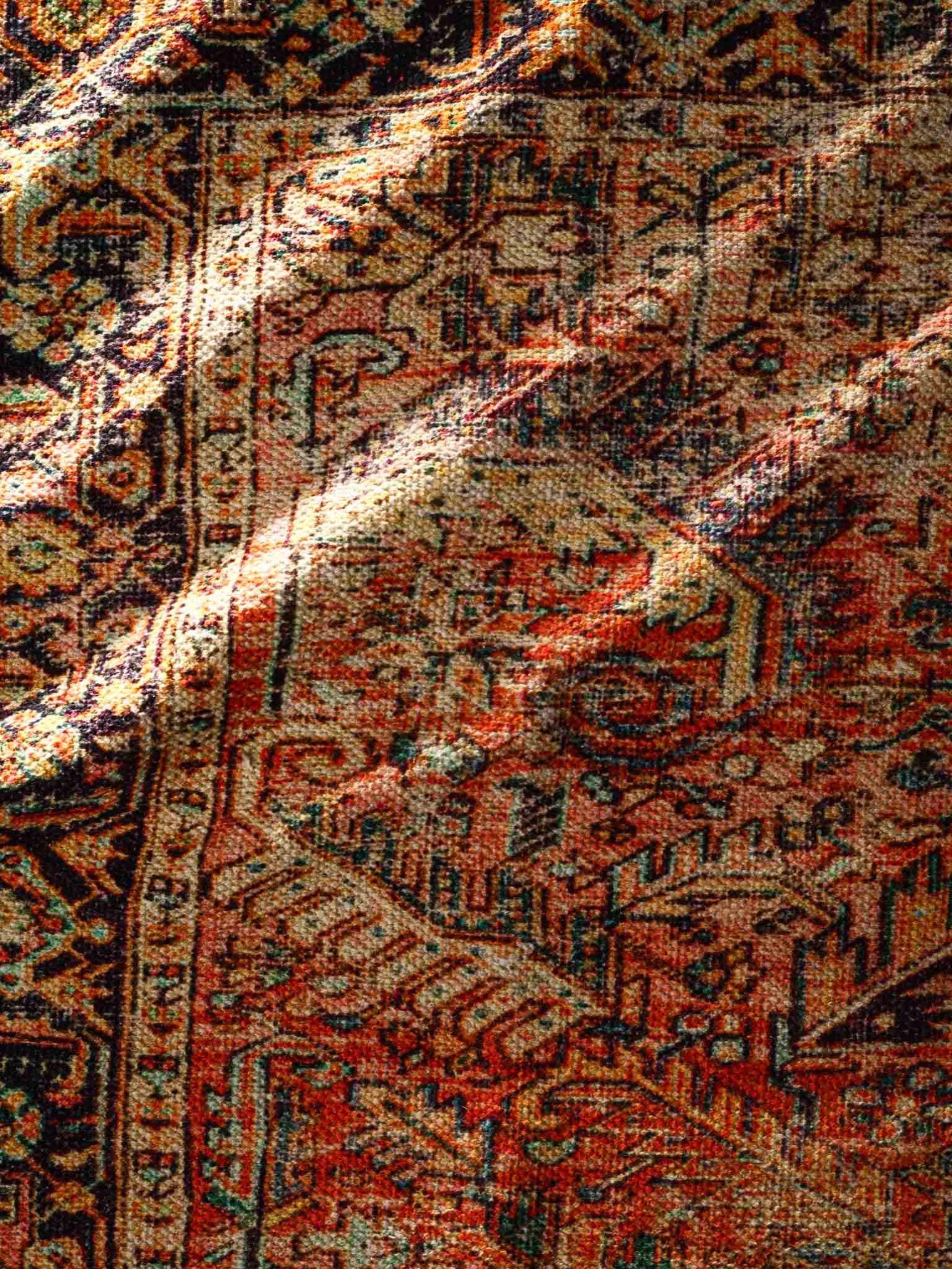 Meirge Printed Cotton Rug