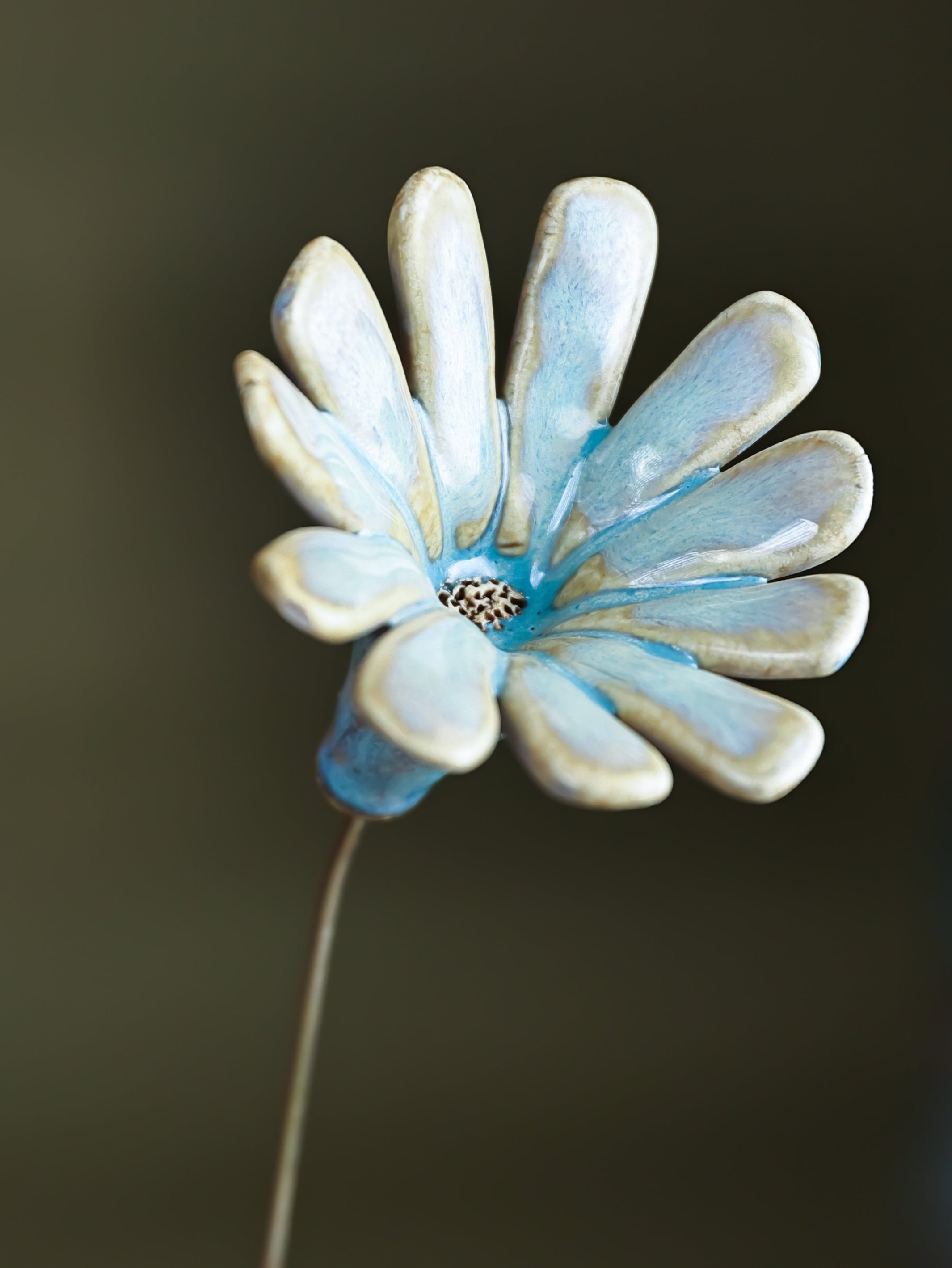 Splash Single Flower Stem