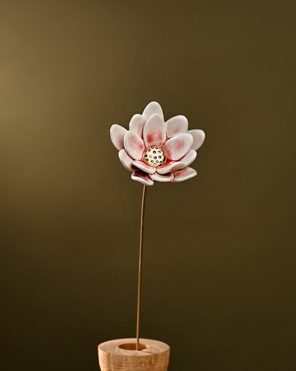 Rainflower Single flower stem - blushing pink