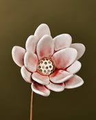 Rainflower Single flower stem - blushing pink