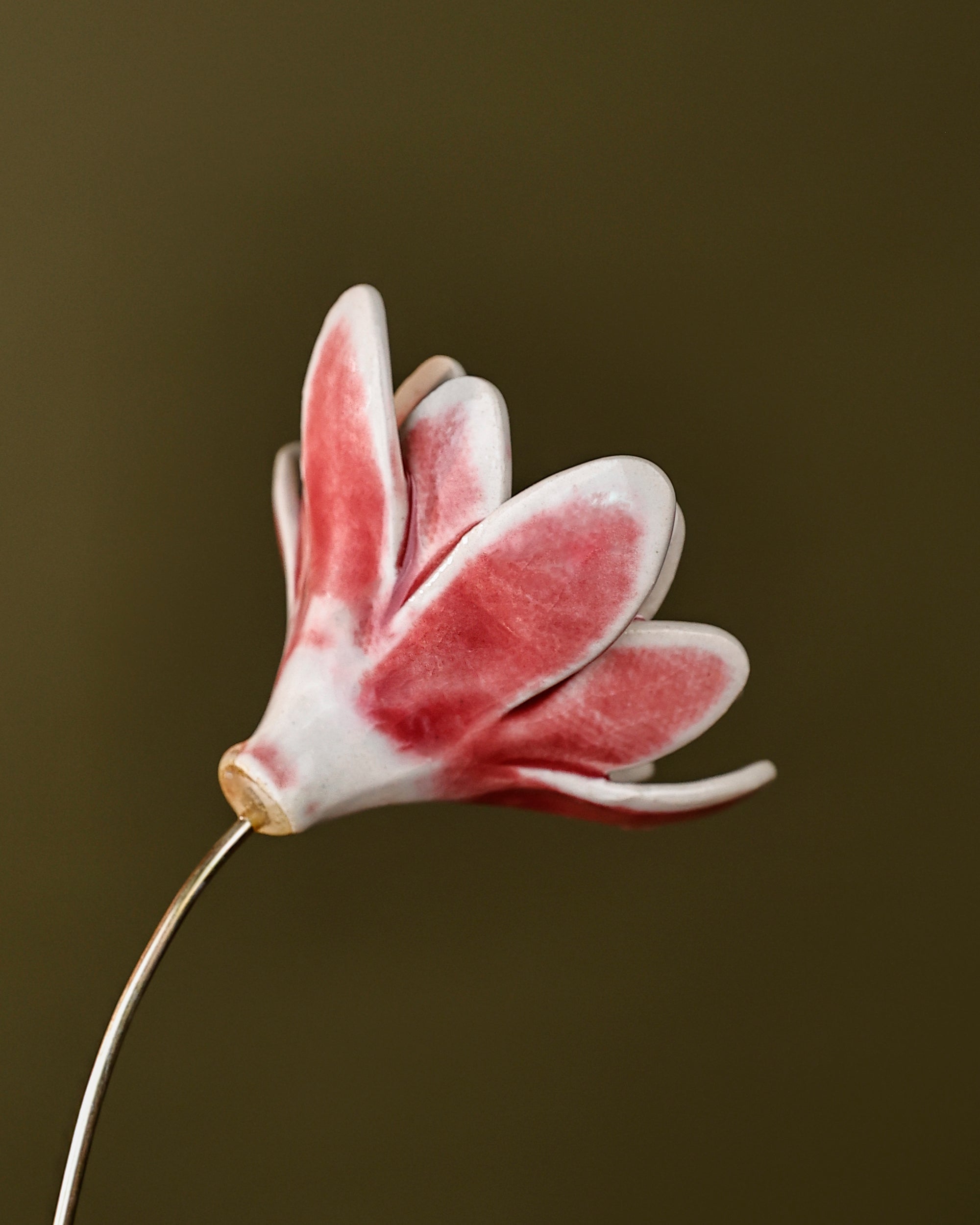 Rainflower Single flower stem - blushing pink