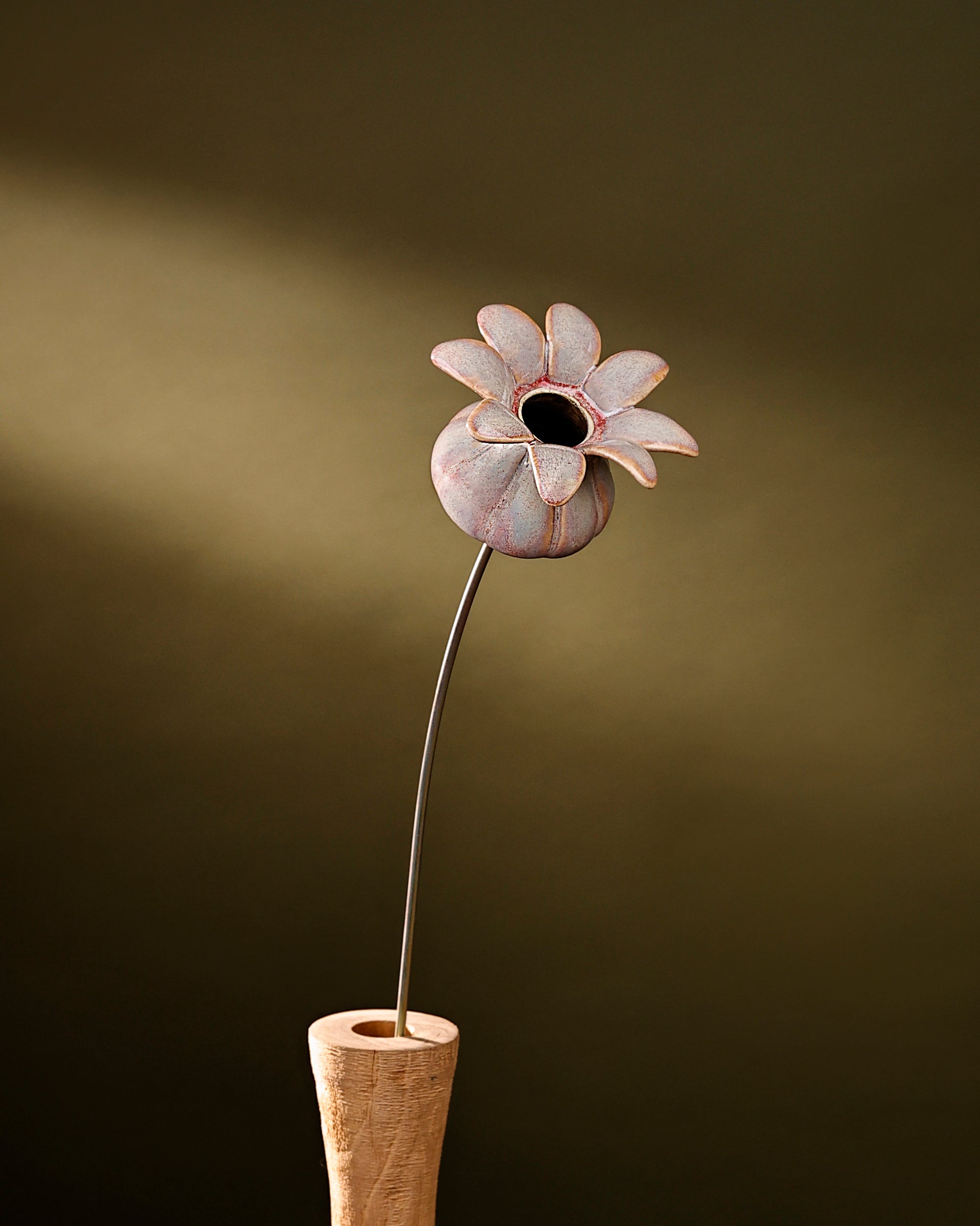 Blooming Pods - Single -Blush