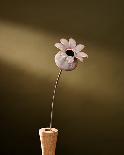 Blooming Pods - Single -Blush