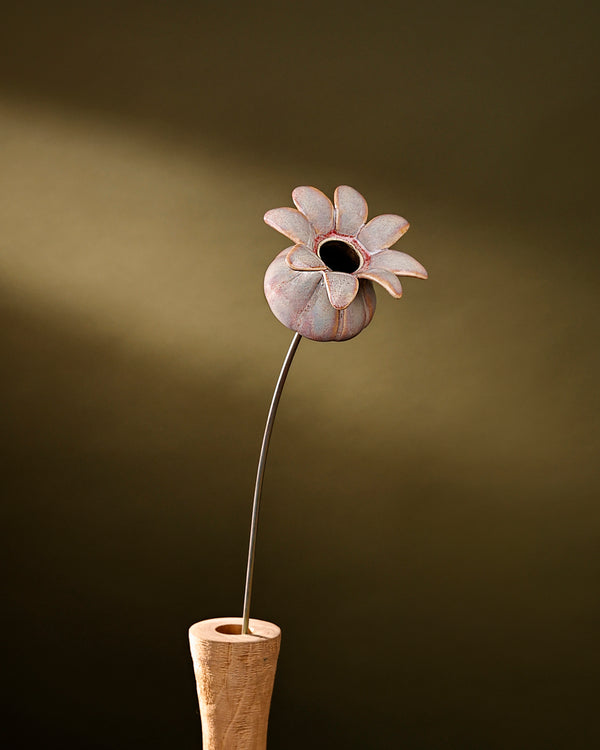 Blooming Pods - Single -Blush