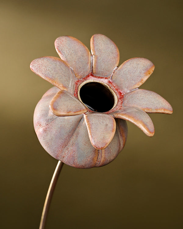 Blooming Pods - Single -Blush