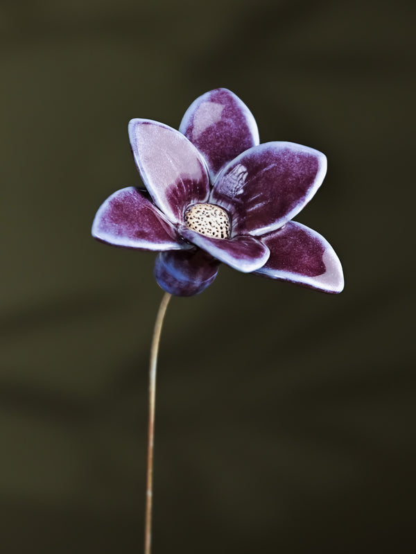 Buttercup- Single Flower stem - Purple
