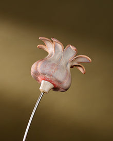 Blooming Pods - Single -Blush
