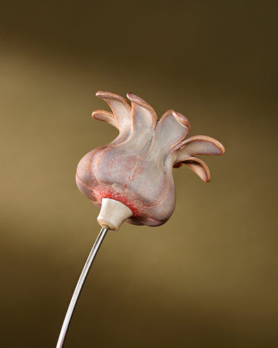 Blooming Pods - Single -Blush
