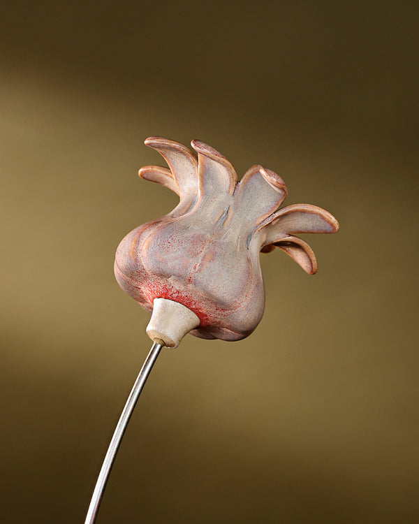 Blooming Pods - Single -Blush