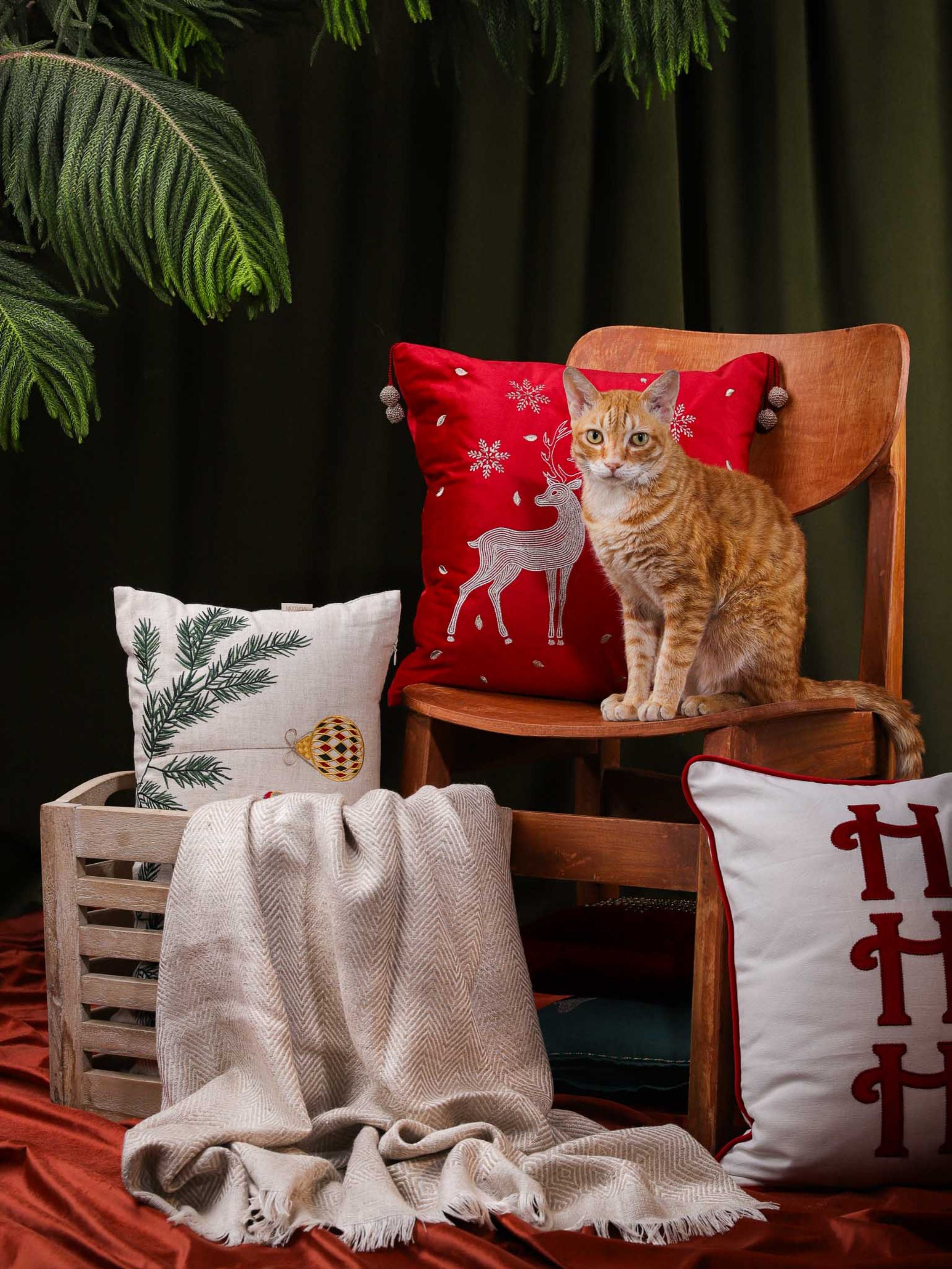 Cushion Cover - Joyful Duo