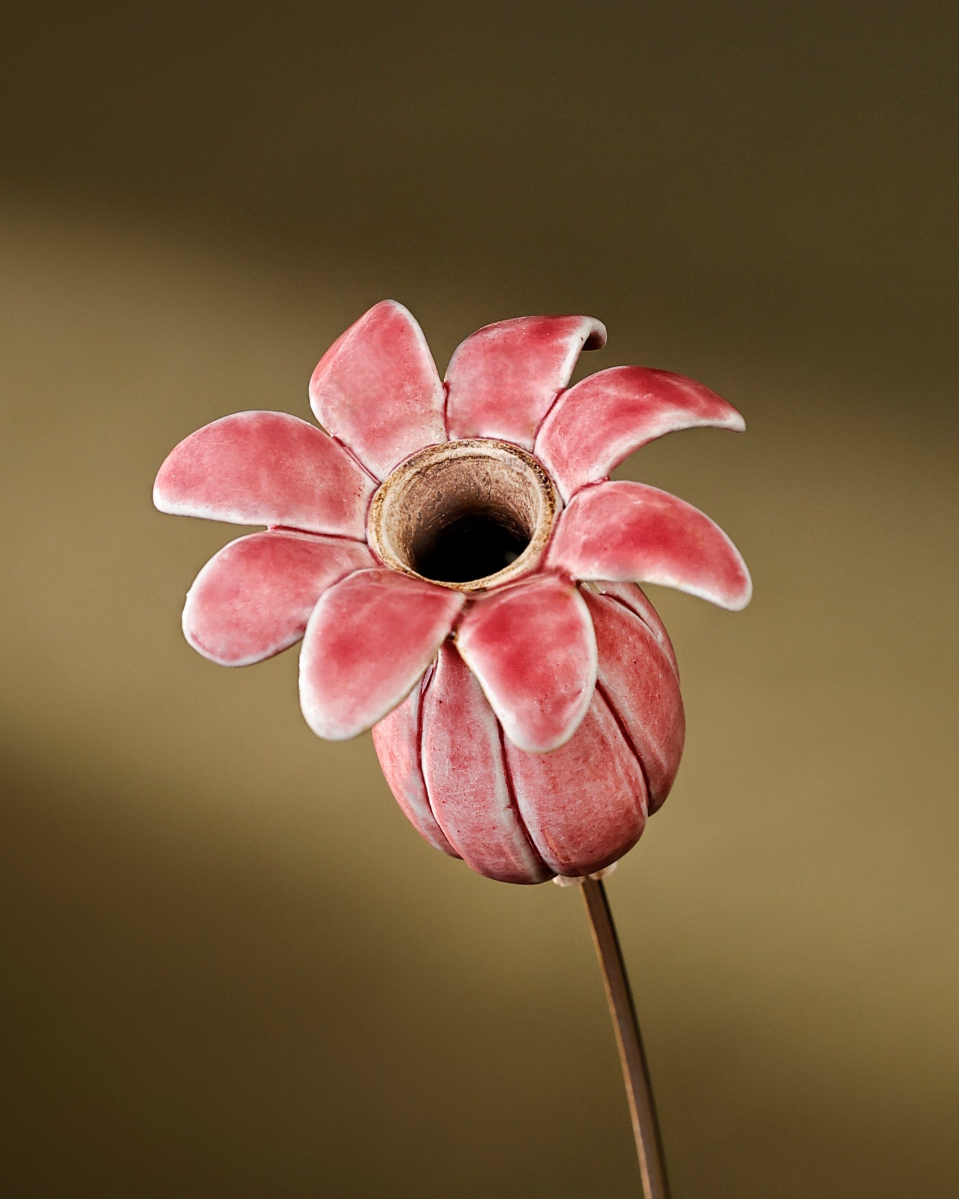 Flowering Pod Tall -single - Deep Pink