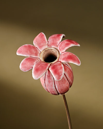 Flowering Pod Tall -single - Deep Pink