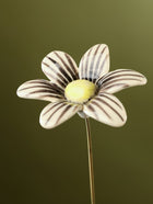 Single Stem Brushed Daisy - Black