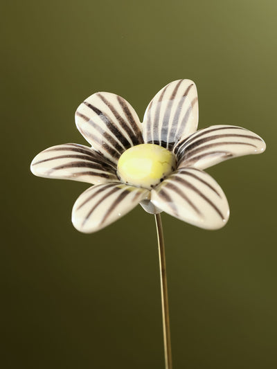 Single Stem Brushed Daisy - Black