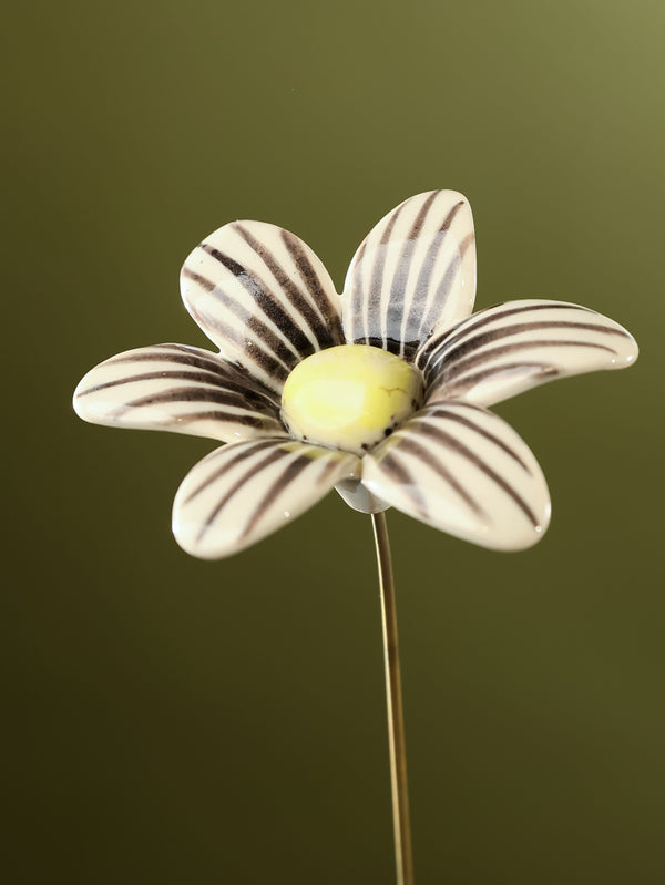 Single Stem Brushed Daisy - Black