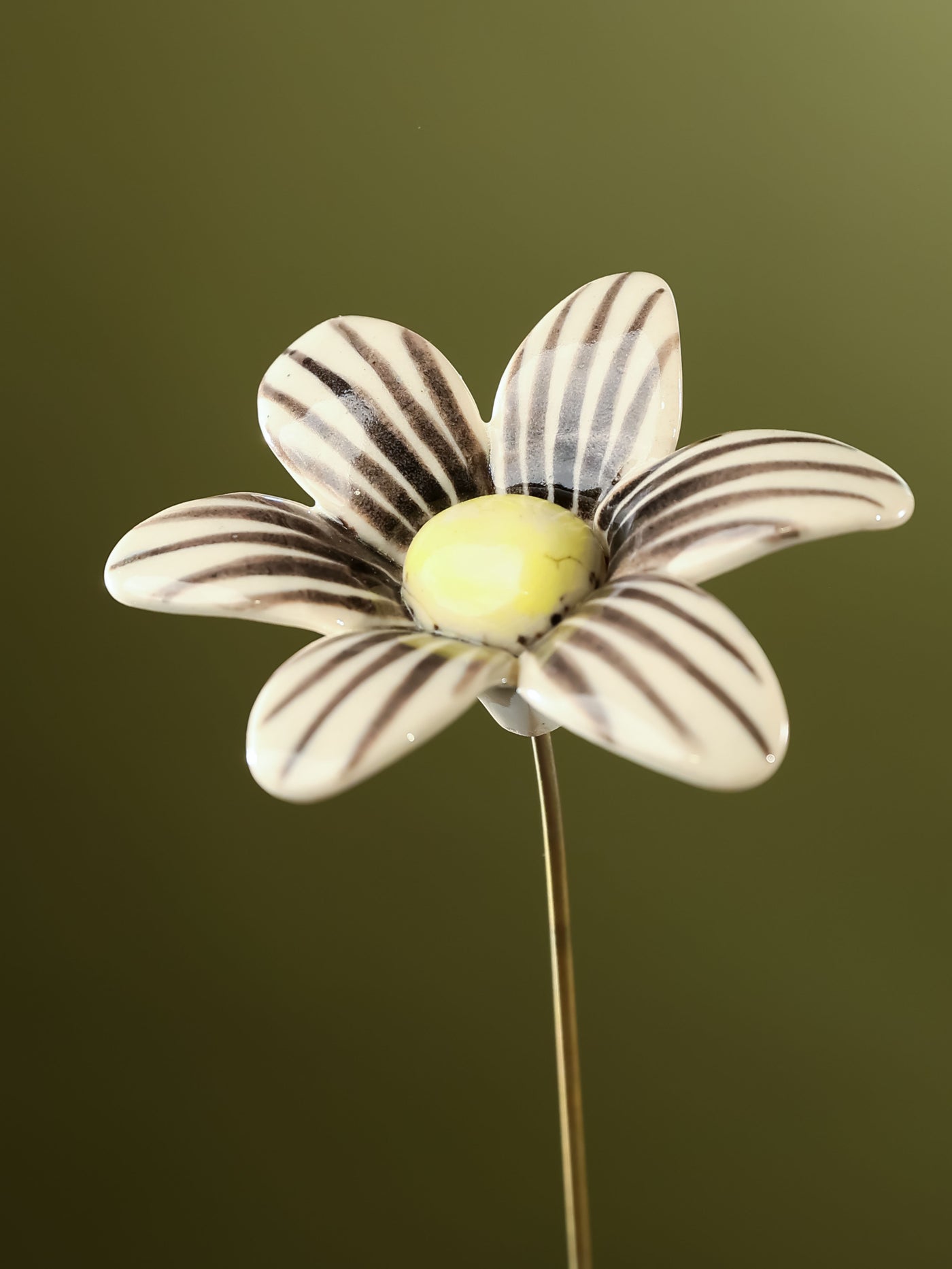 Single Stem Brushed Daisy - Black