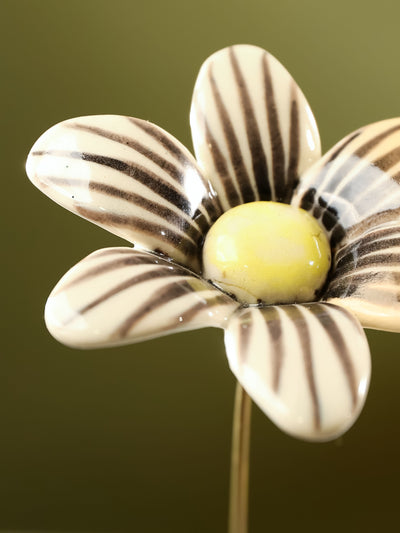 Single Stem Brushed Daisy - Black