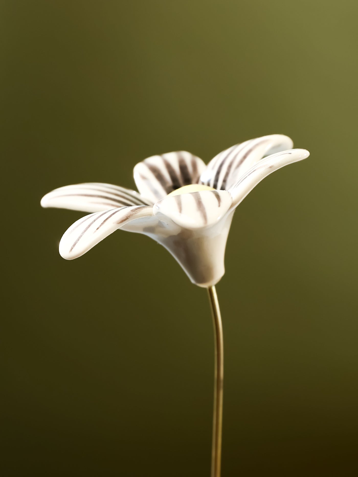 Single Stem Brushed Daisy - Black
