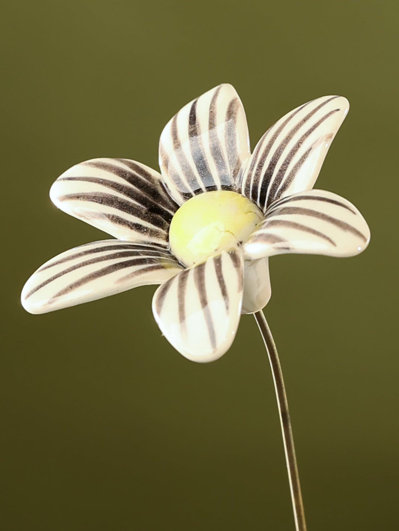 Single Stem Brushed Daisy - Black
