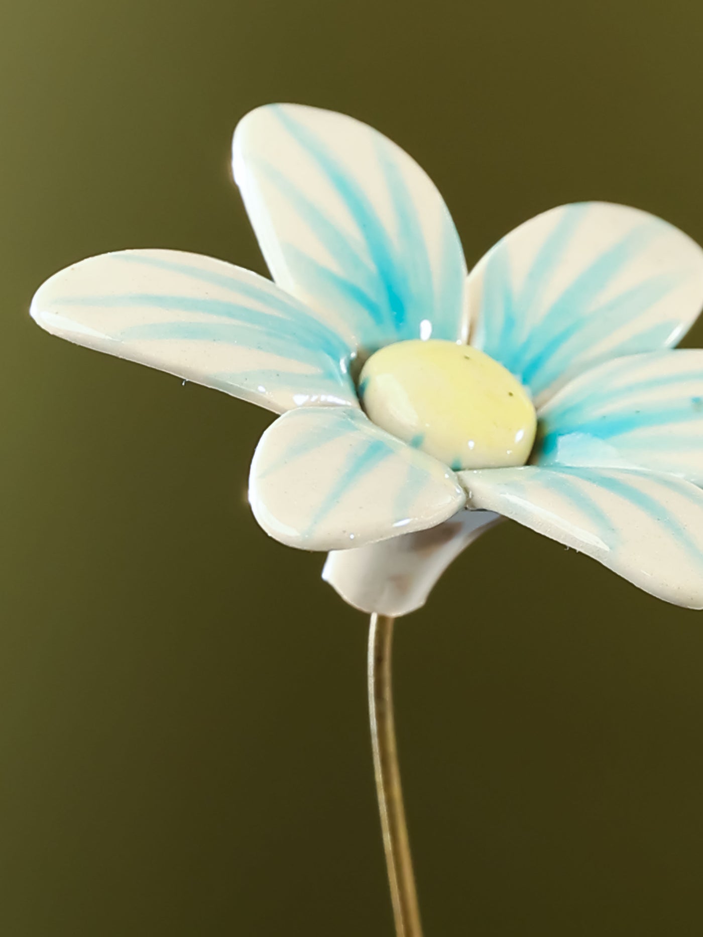 Single Stem Brushed Daisy - Aqua