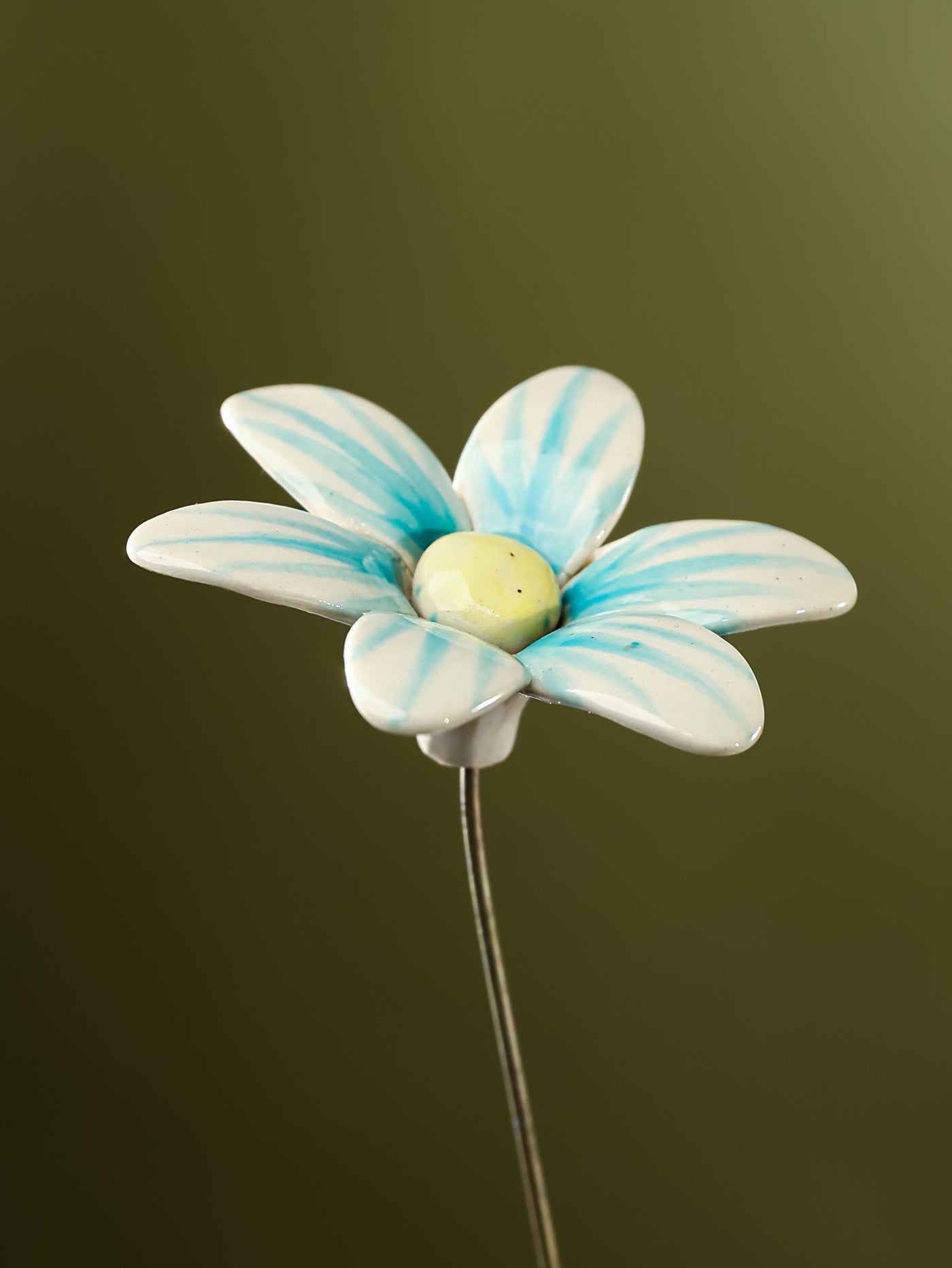 Single Stem Brushed Daisy - Aqua