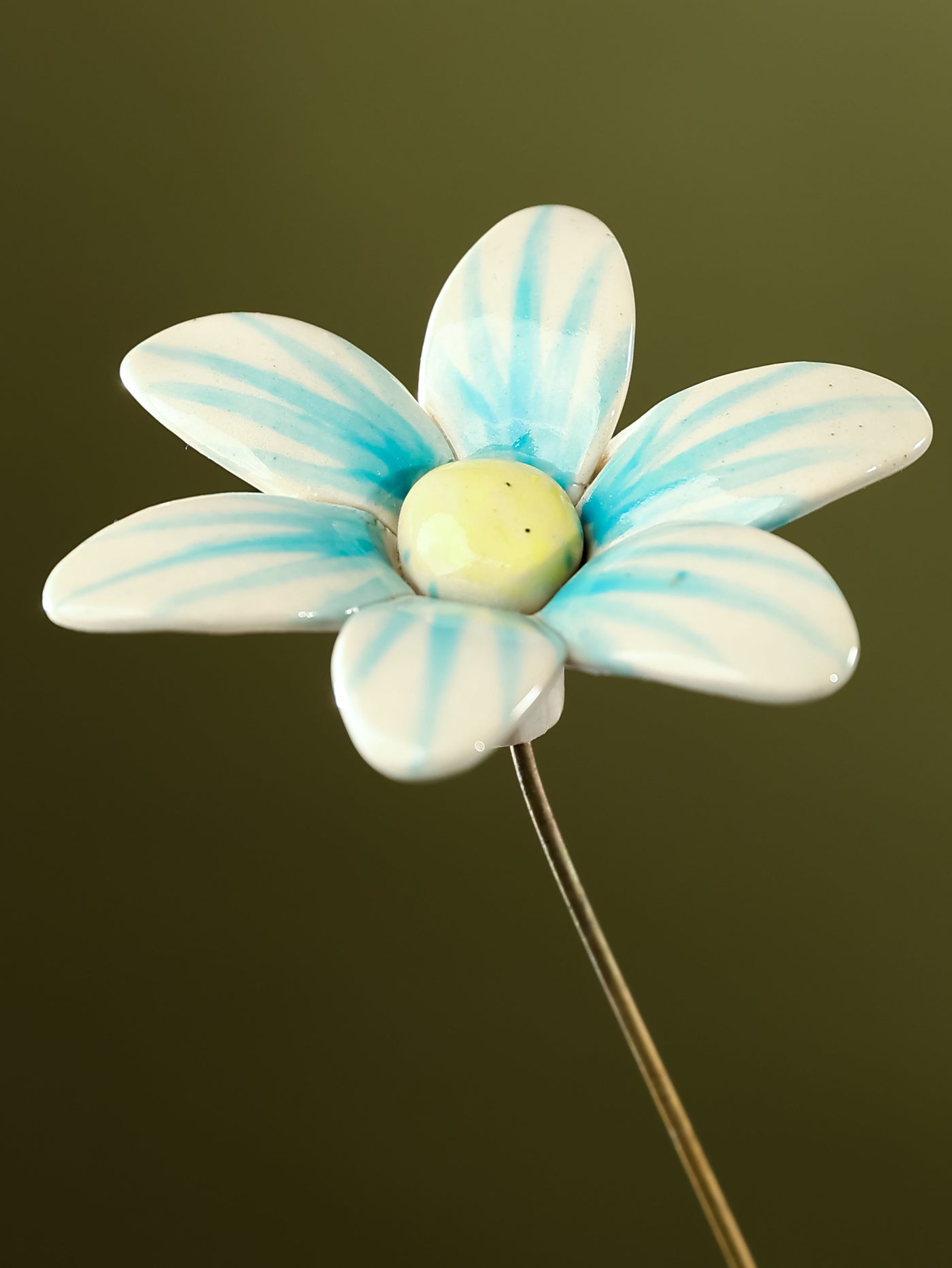 Single Stem Brushed Daisy - Aqua