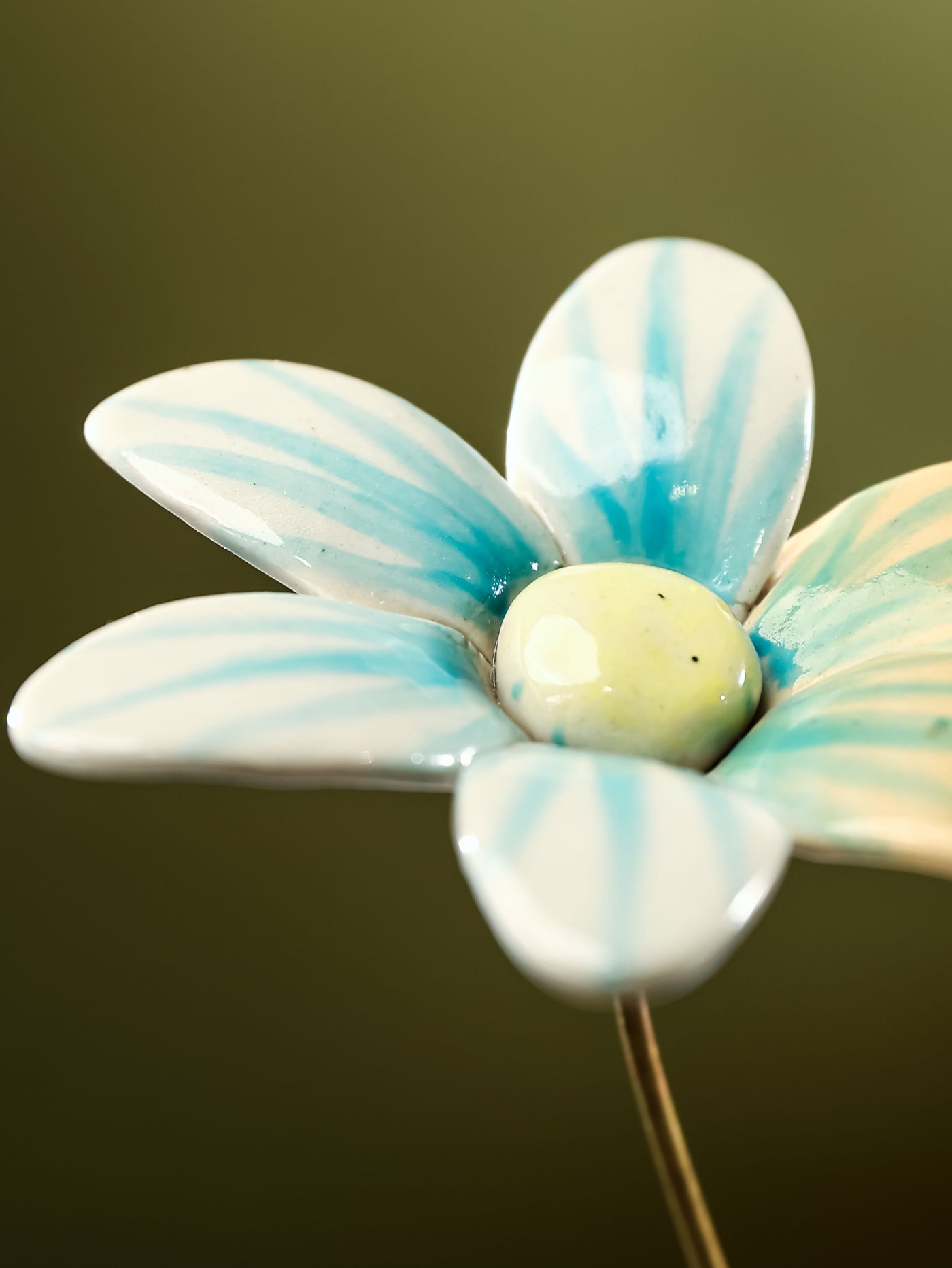 Single Stem Brushed Daisy - Aqua