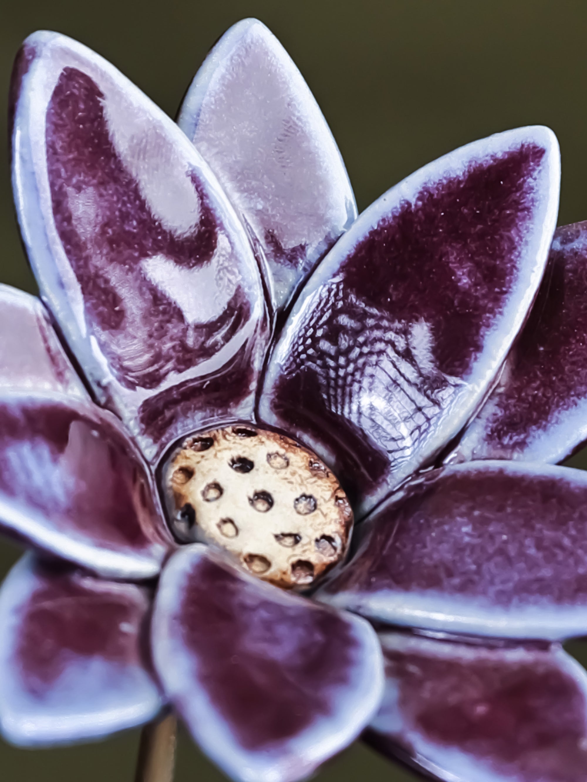 Edgy Daisy  - Single flower stem large