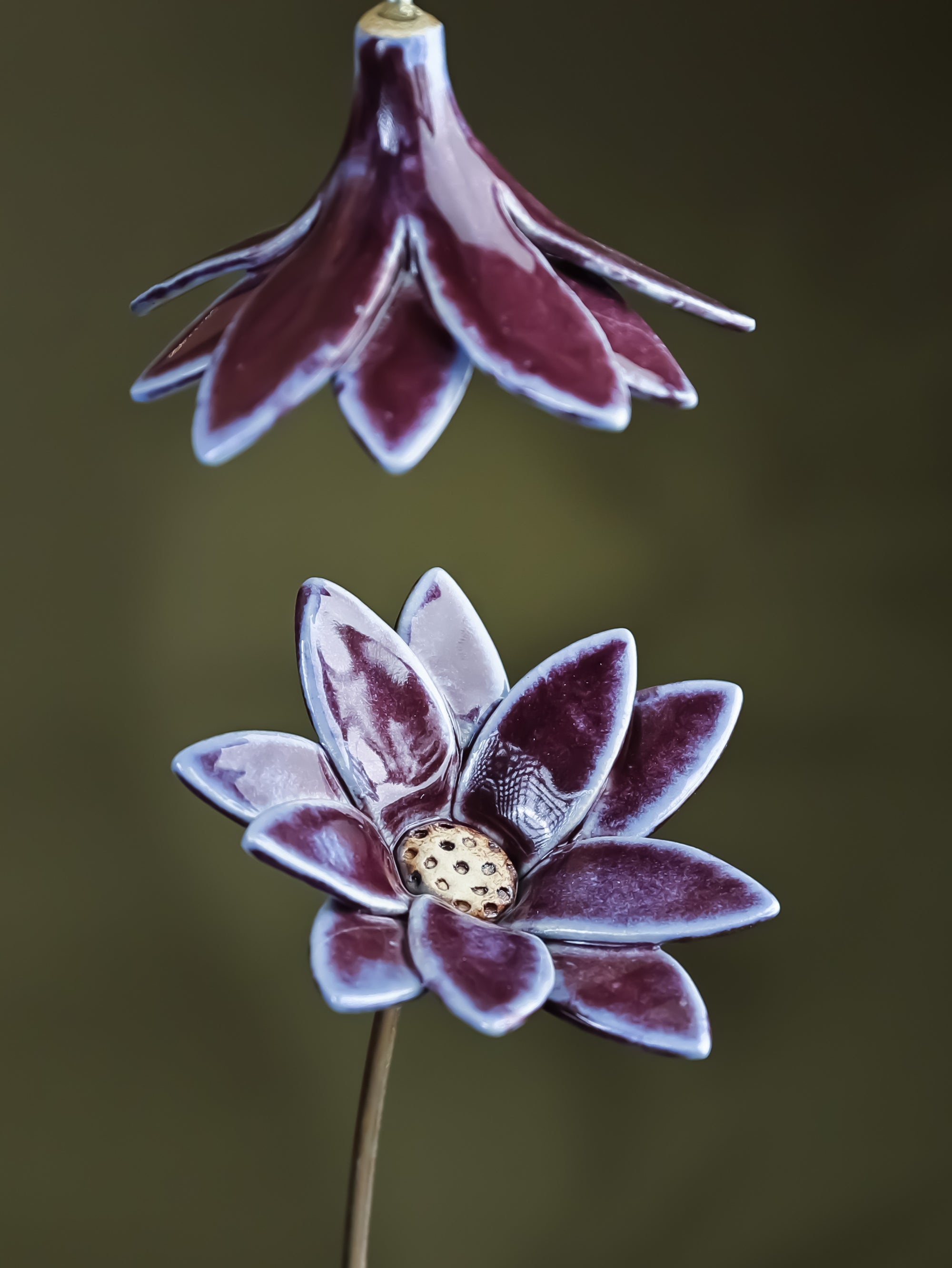 Edgy Daisy  - Single flower stem large