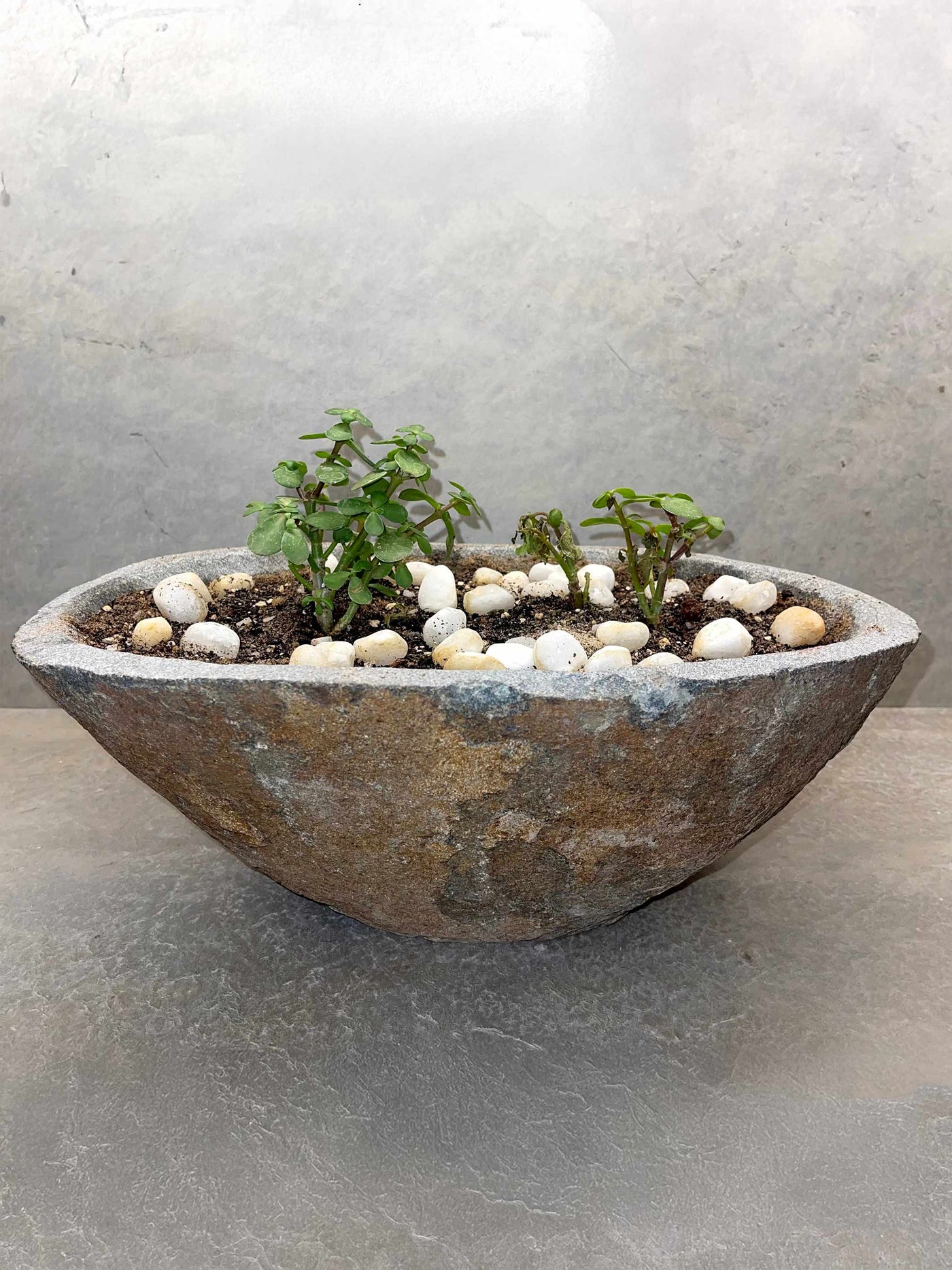 Boulder Planter