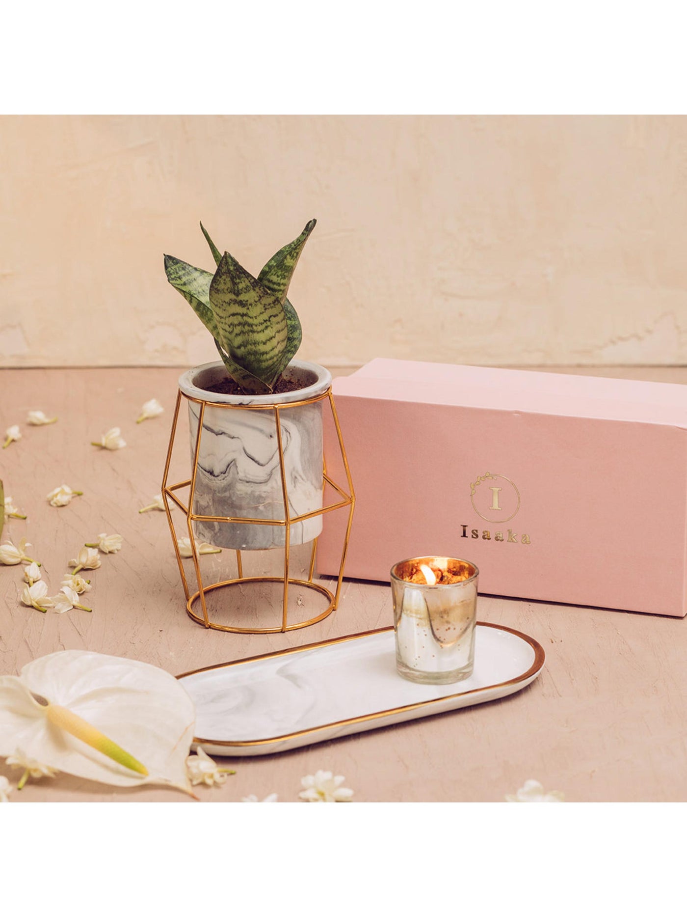 Gift Box  - Candle, Platter & Planter Hexagon Stand