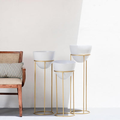 Ovate Tall Planters White & Gold (Set of 3)